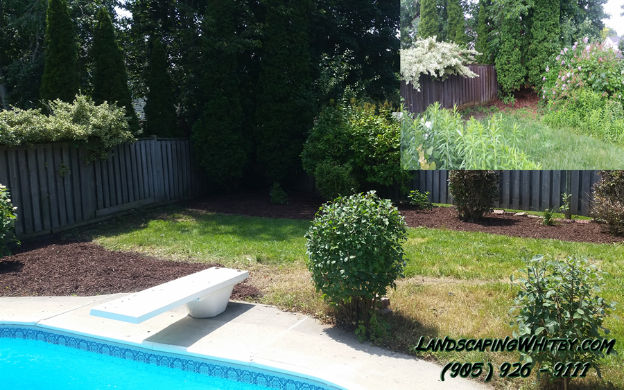 Garden Bed Clean-Up Mulch Gardener
